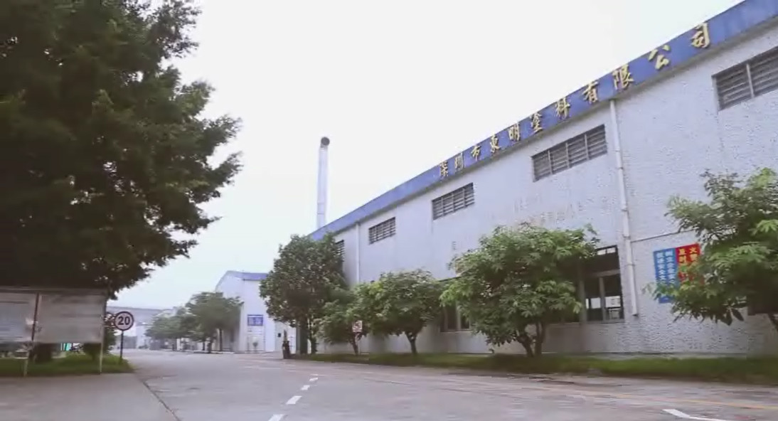 China Shenzhen Bangrong Automotive Supplies Co.,Ltd. Bedrijfsprofiel